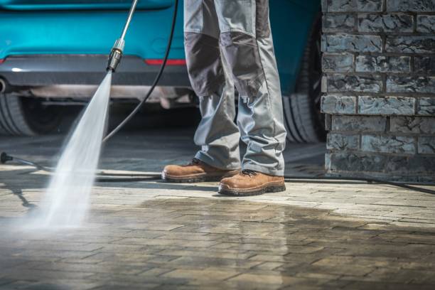 Best Roof Washing  in , IA