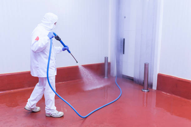 Best Paint Preparation  in , IA